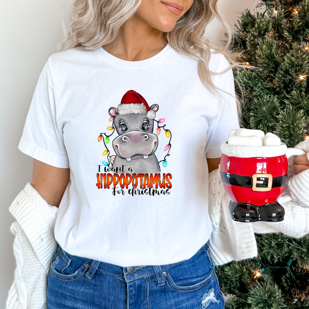 I Want a Hippopotamus for Christmas T-Shirt Bella Canvas T-shirt